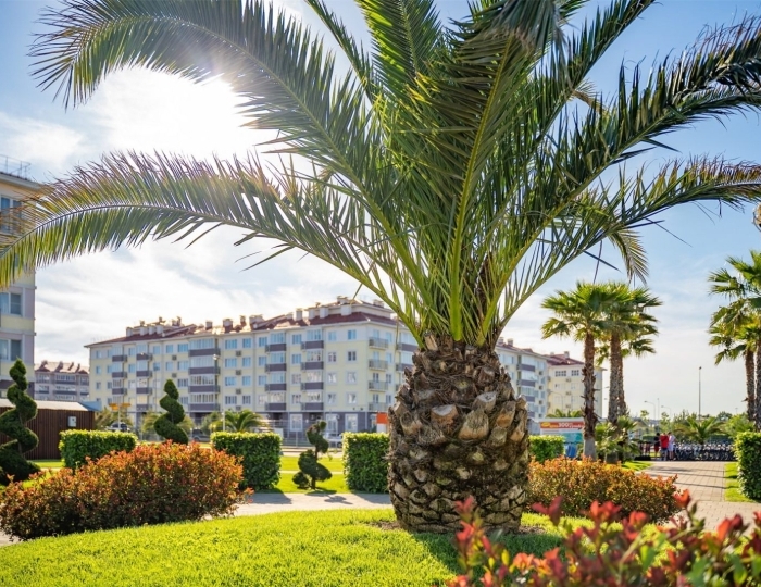 Стандарт 2-комнатный (Two-room Standard) Квартал 17 - Отель «Русский Дом»